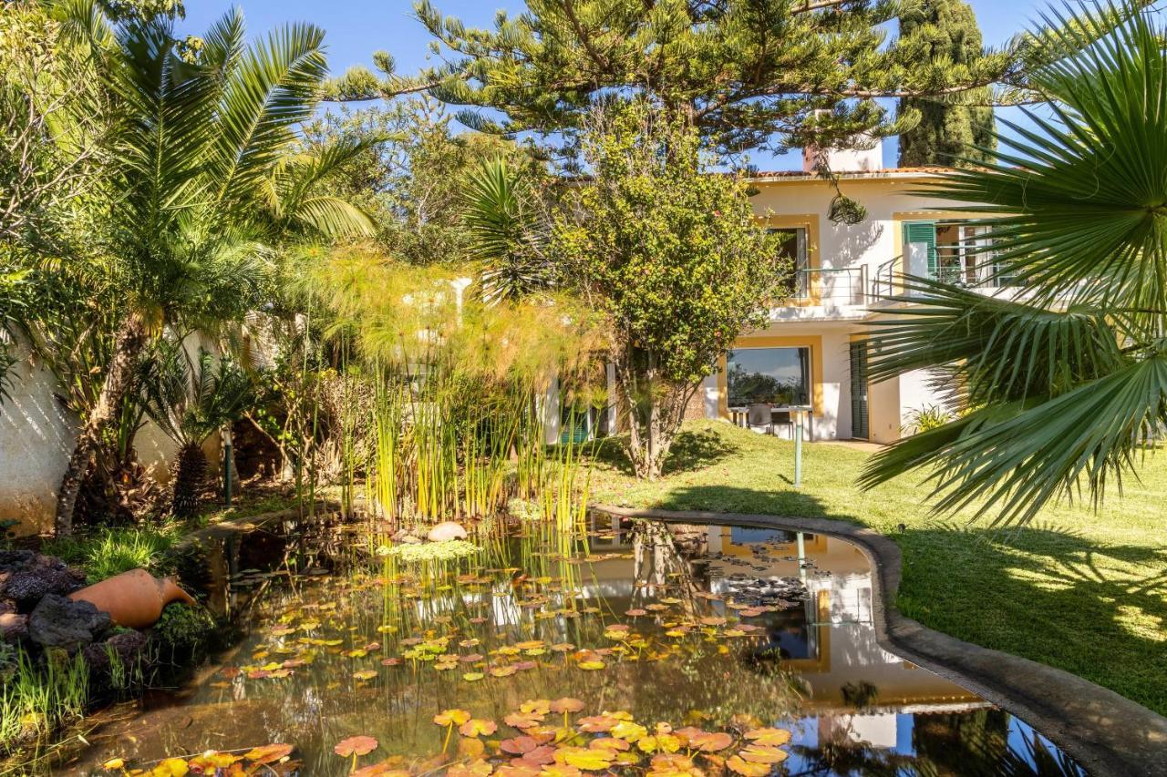 Villa Echium T1 Caniço Exteriör bild