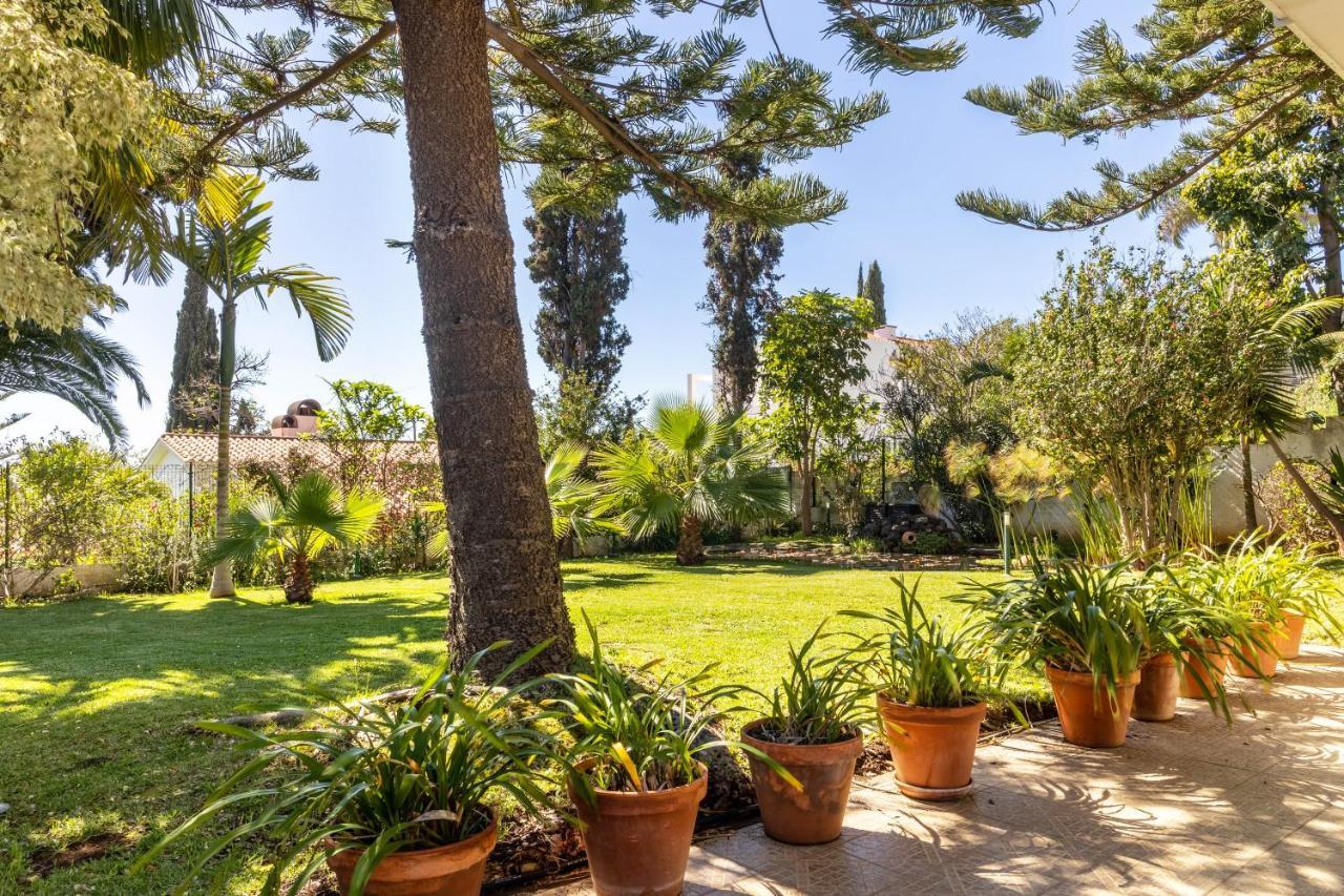 Villa Echium T1 Caniço Exteriör bild